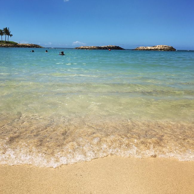  Retour sur notre voyage de noces, chapitre Ii: Hawaii! 🌺 - 3