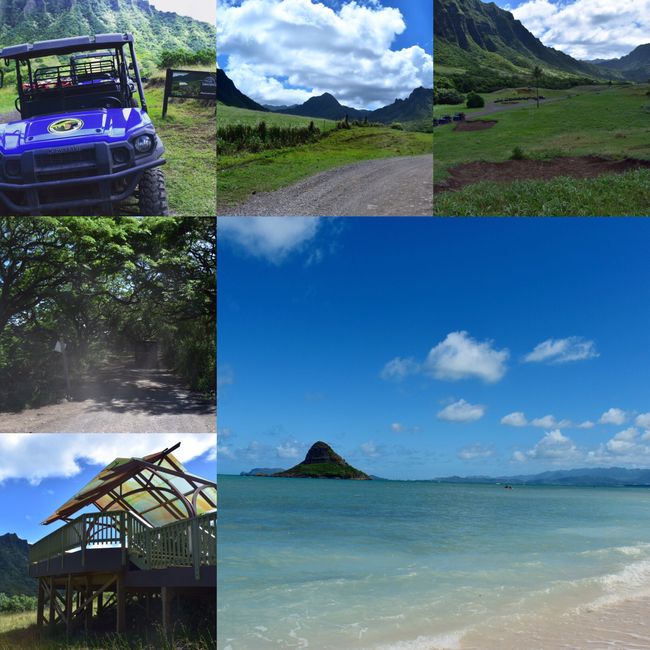  Retour sur notre voyage de noces, chapitre Ii: Hawaii! 🌺 - 10