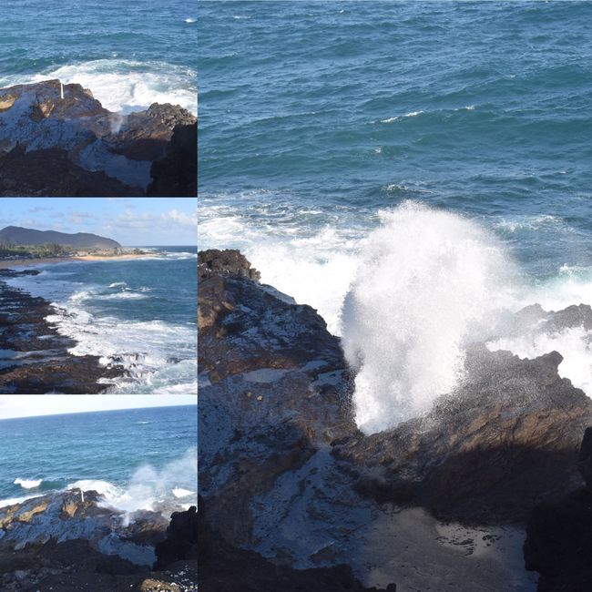  Retour sur notre voyage de noces, chapitre Ii: Hawaii! 🌺 - 13