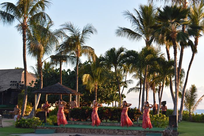  Retour sur notre voyage de noces, chapitre Ii: Hawaii! 🌺 - 4