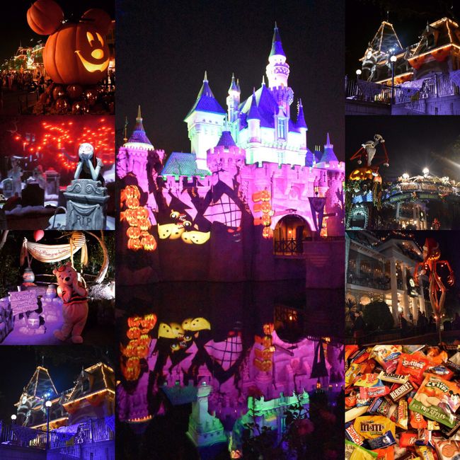  Retour sur notre voyage de noces, dernière partie: Disneyland Resort, Las Vegas & Los Angeles - 5