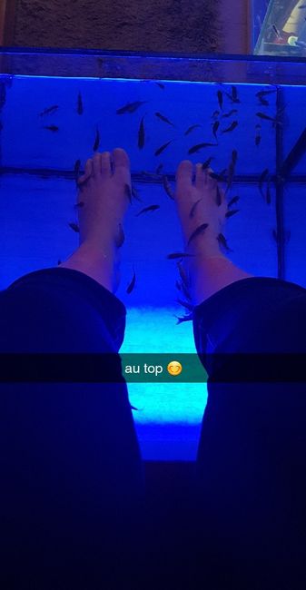 evjf au top 🎉👌😊 - 4