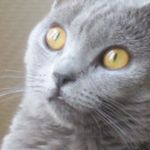 Aurélie