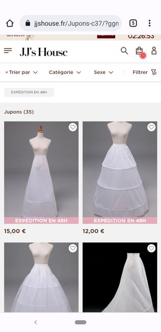 Jupon grande taille 1