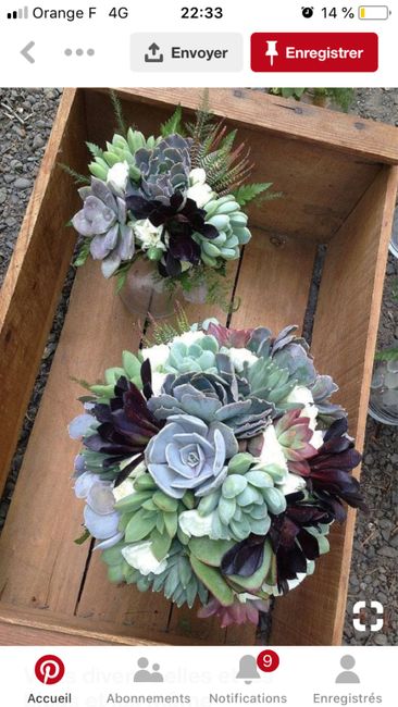 Inspiration succulentes - 6
