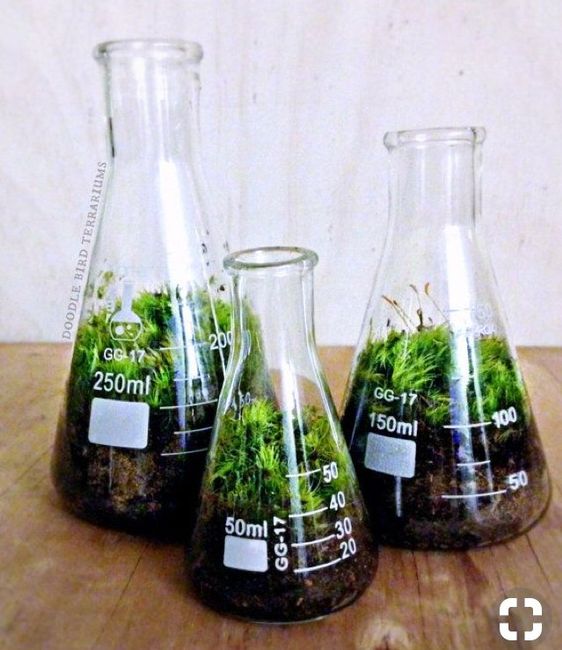 Idées décoration thème chimie en rose poudré et gris/argent 3