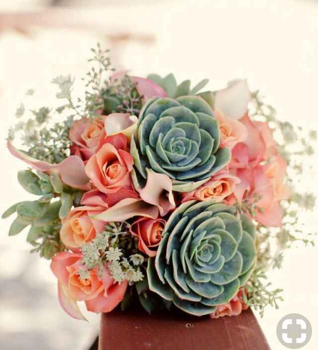 Inspiration succulentes - 4