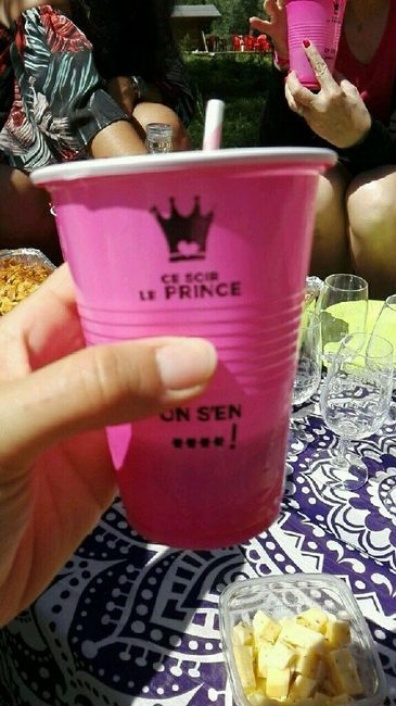 Evjf de princesse - 1