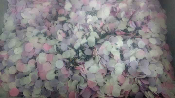 Opération confetti terminée :) - 1