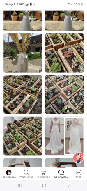 Fleurs coupées ou fleurs en pots 4