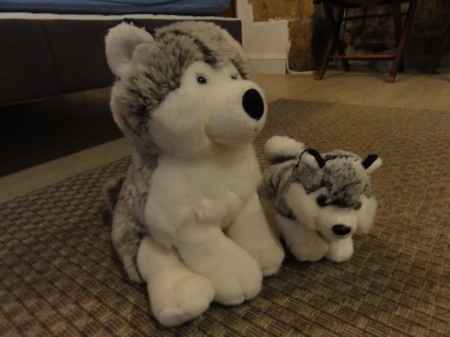 Centre de table husky