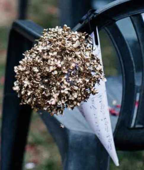 Décoration salle et extérieur - 2