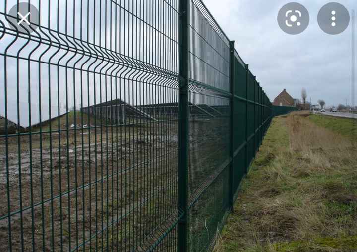 Support mur de roses - 1