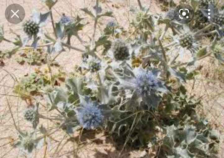 Idée fleurs pour table thème Plage - 2