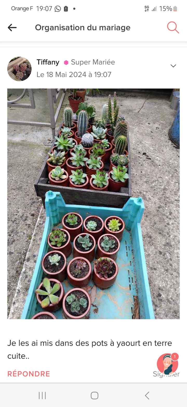 Fleurs coupées ou fleurs en pots - 1