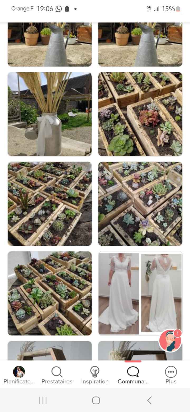 Fleurs coupées ou fleurs en pots - 2