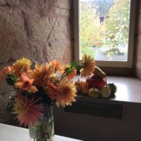  Fleur petit budget - 1