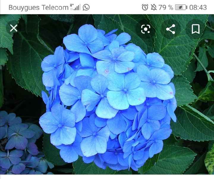 Adieu bouquet de mes rêves - 1