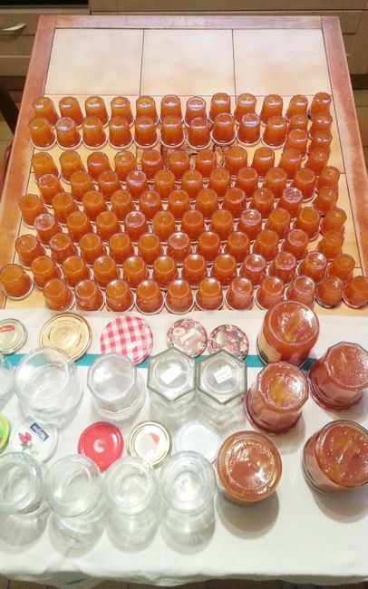 Confiture abricots-vanille