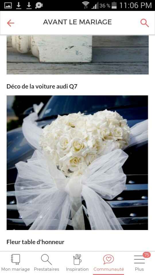 Décoration voiture - 1