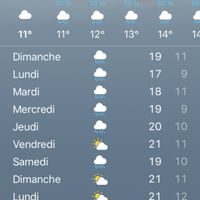 Mariées du 15 juin 2019 - 1