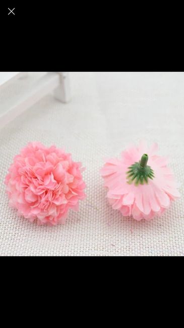 Besoin d'aide, rideau de fleurs - 1