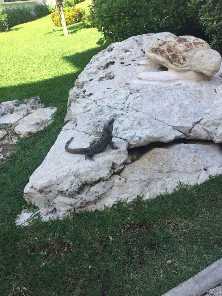  Depart 17 décembre pour le Mexique!! - 7