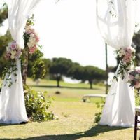 arche roses