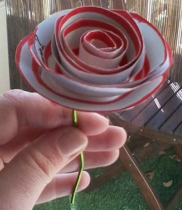 rose pour témoins