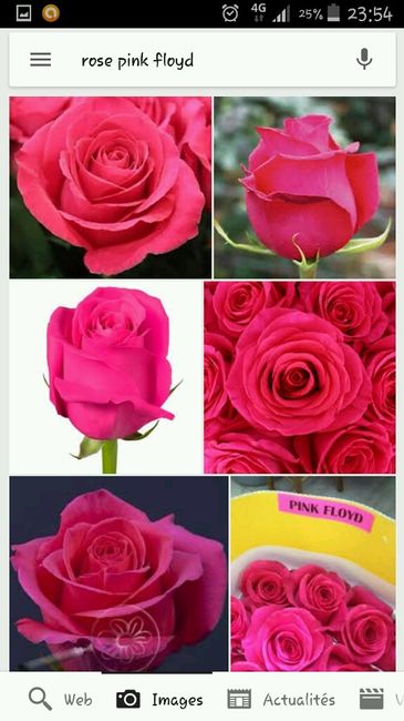Avez vous choisi vos fleurs ? - 1