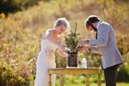 Planter un arbre pour sa cérémonie