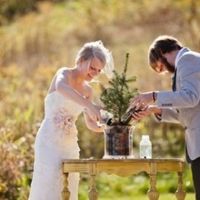 Planter un arbre pour sa cérémonie
