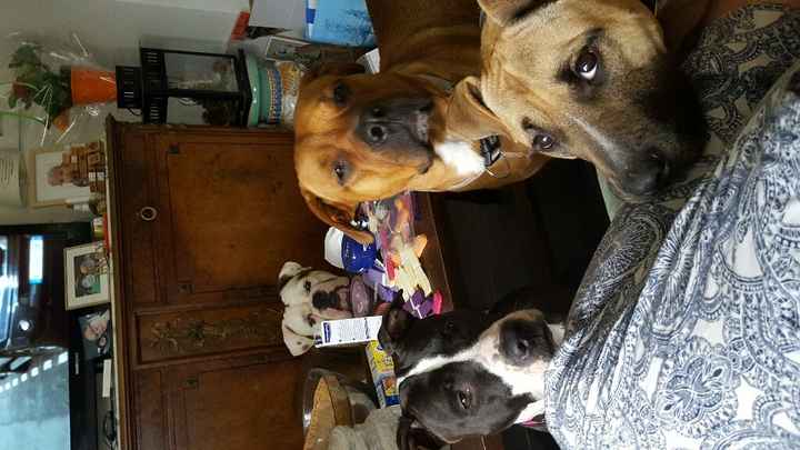 Nous y voilà j-1 - 2