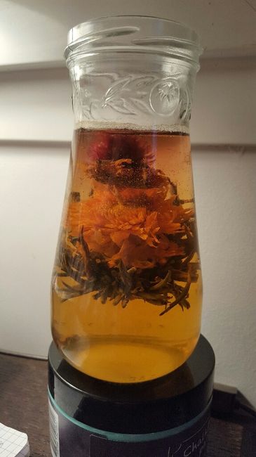 Fleur de thé dans vase - 1