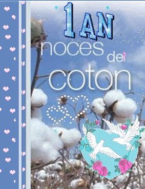 Noce coton 1