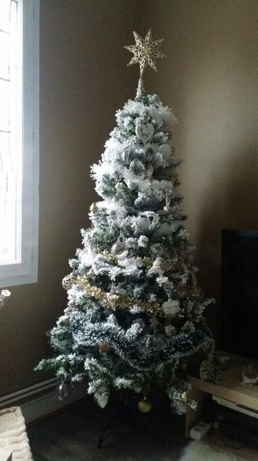 A vos sapins !!! - 1