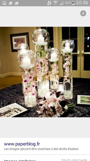 Besoin d'idées avec ces vases ... - 2