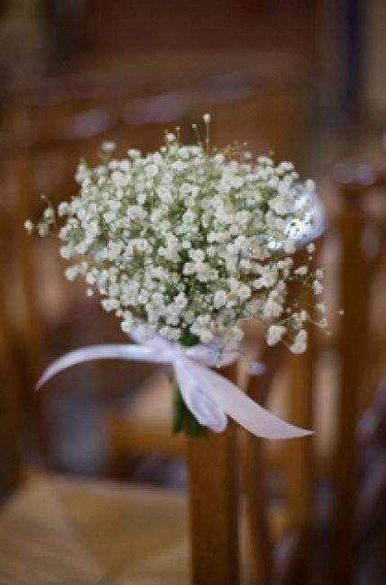 Gypsophile - 3