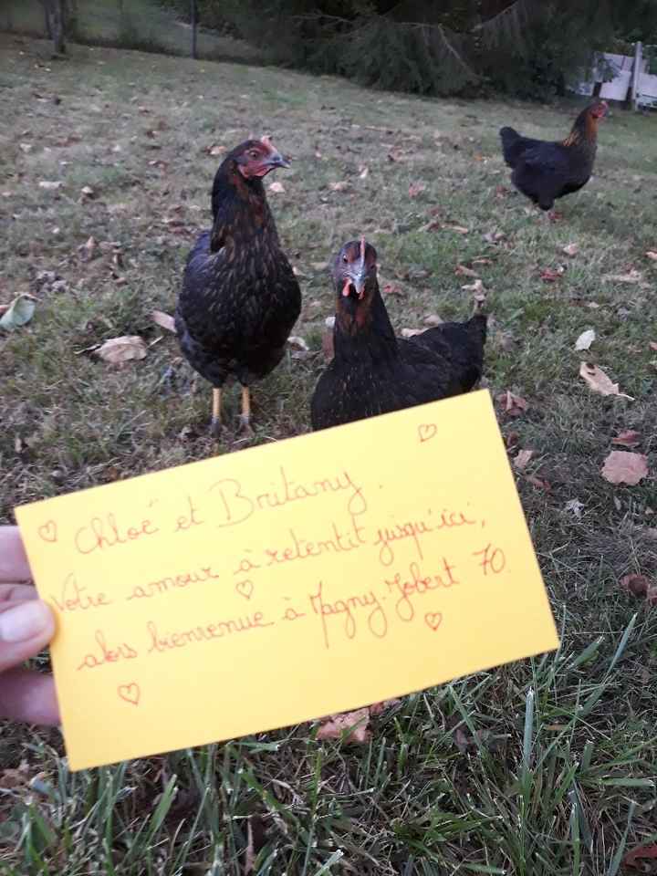 Love notes, aidez-moi svp ! - 1