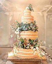 Nude Cake