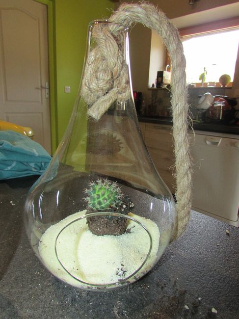-Le cactus sera mieux caché mais là c'est pour faire l'essai, il est retourner dans son pot ^^