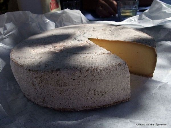 Tradition Auvergnate 12