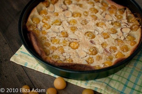 Tradition Auvergnate 15