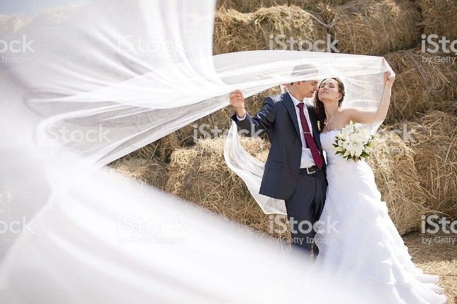 -----------------------------------------