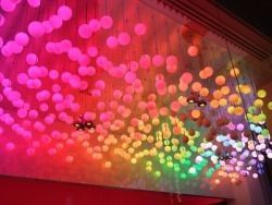 ----------------------------------------