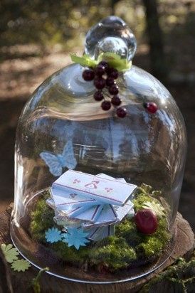 ----------------------------