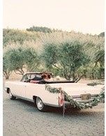 ----------------------------