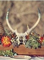 --------------------