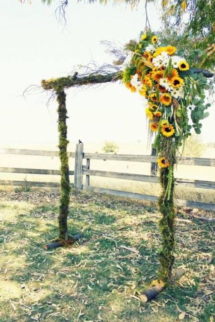 ----------------------------