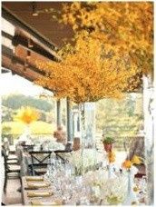 ---------------------------------------